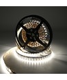 5m 19W/m RGB+CCT LED-strip RA93 - 24V DC, 270 LED pr. meter, IP20
