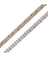 5m 19W/m RGB+CCT LED-strip RA93 - 24V DC, 270 LED pr. meter, IP20