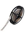 10m 19W/m RGB+CCT LED-strip RA93 - 24V DC, 270 LED pr. meter, IP20