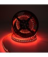 10m 19W/m RGB+CCT LED-strip RA93 - 24V DC, 270 LED pr. meter, IP20