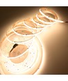 5m RGBWIC COB LED-strip - 24V DC, 784 LED 20W/m, IP20