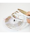5m RGBWIC COB LED-strip - 24V DC, 784 LED 20W/m, IP20