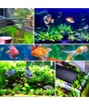 48-68 cm akvariearmatur - 11W LED, hvit/blå/rød/grønn/lilla, justerbar lengde, IP66