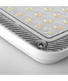 30W LED-lyskaster CCT - IP65, 3-i-1 lysfarge, utendørs, arbeidslampe