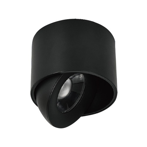 12W LED utenpåliggende spot - IP44, svart, CCT, Cree-brikke