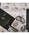 Outlet: Halo Design - D.C Bordlampe Ø18 E27, hvit / eik