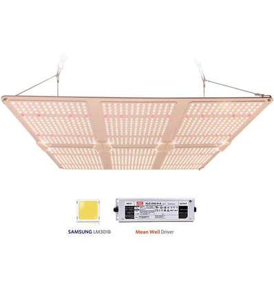 LED -vekstlys, Samsung Quantum Board, 660W, dimbar