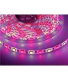 5m 10,8W/m RGB+WW LED-strip - 60 LED pr. meter