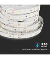5m 4,2W/m LED-strip - 12V DC, 60 LED pr. meter