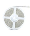 5m 4,8W/m sprutsikker LED-strip - IP65, 30 LED pr. meter