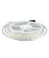 5m 9W/m sprutsikker LED-strip - 24V DC, IP65, 60 LED per meter
