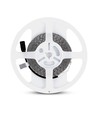 5m 8W/m LED-strip - 12V DC, 120 LED pr. meter, 8mm bred