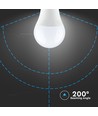 B22 9W LED-pære