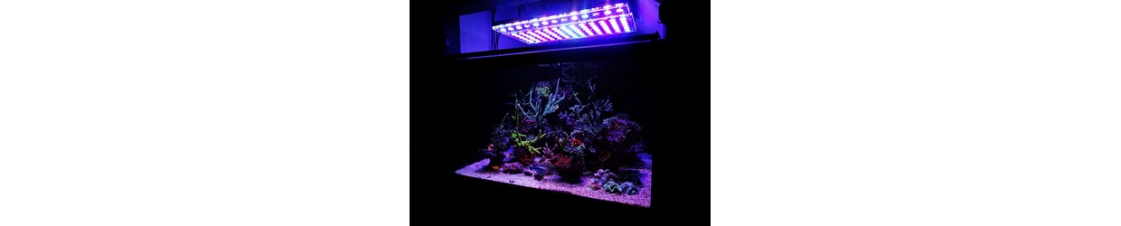 LED akvariebelysning