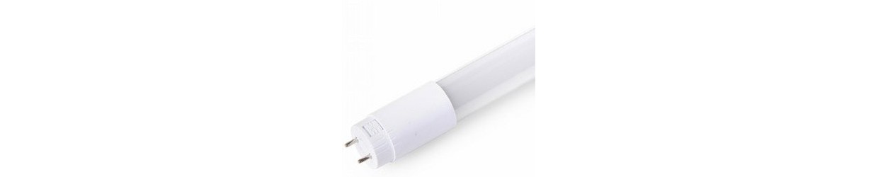T8 LED Lysrør