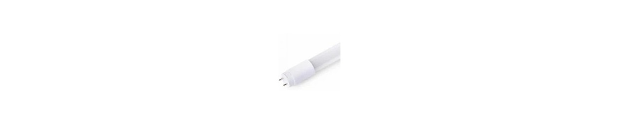 T8 LED Lysrør